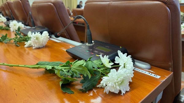 “Надія розквітнути” не вдалося: обранці Запорізької ради не підтримали відміну перенесення екологічних ініціатив